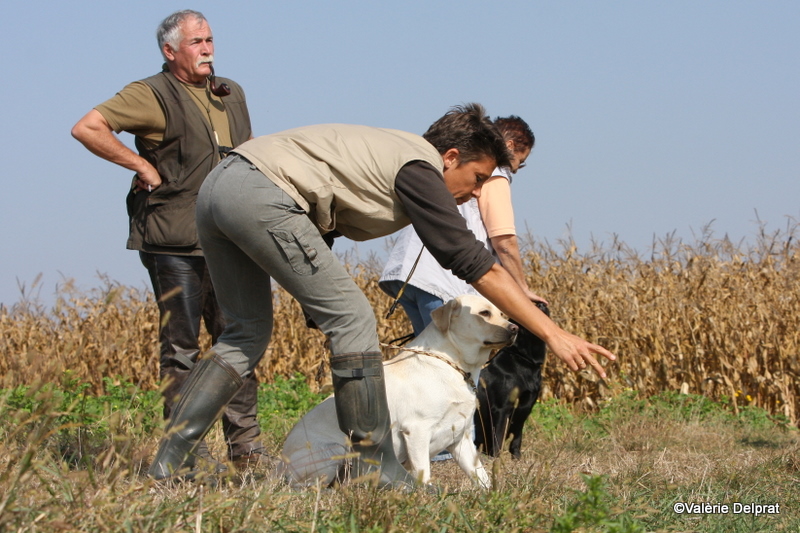 Field Erstein 09 (51).JPG